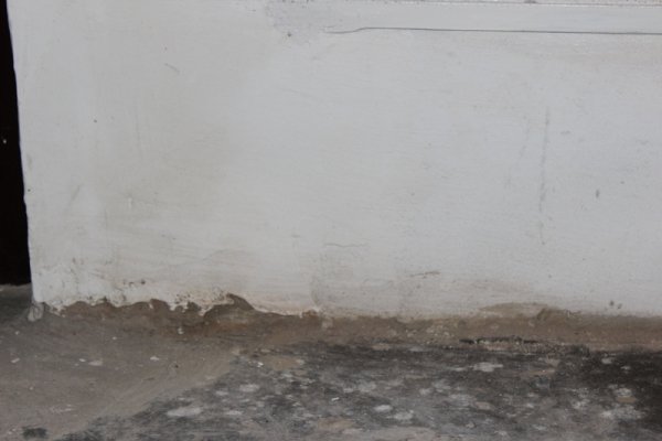 У мерії Луцька пояснили, чим скомпрометував себе учасник тендеру на реконструкцію зоокуточка